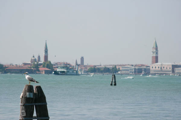 IMG_0180